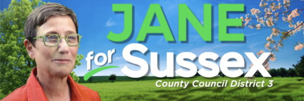 Jane Gruenebaum, member-elect, County Council District 3